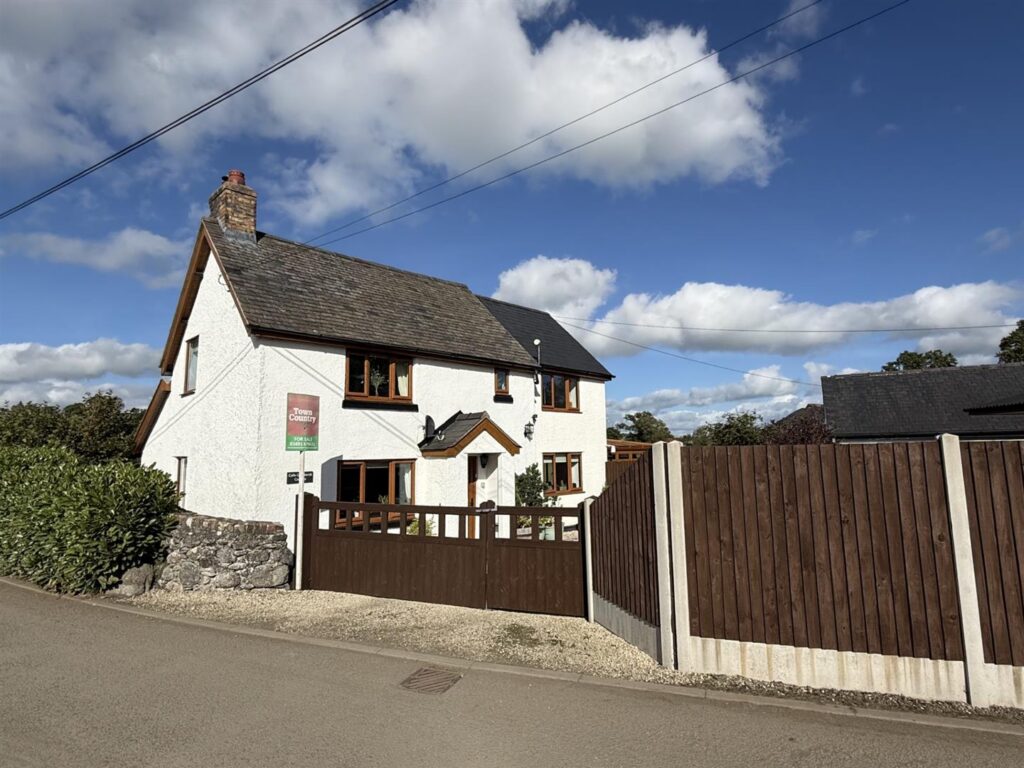 Llanrhaeadr Ym Mochnant photo 32