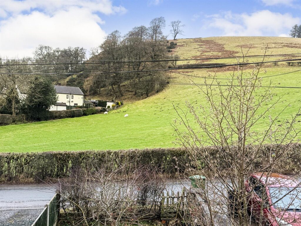 Maes Einion, Tregeiriog photo 15