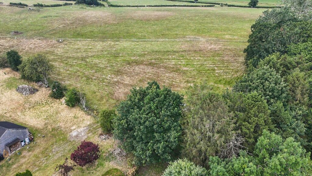The Paddocks
