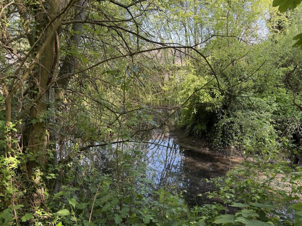 Pool Quay photo 21
