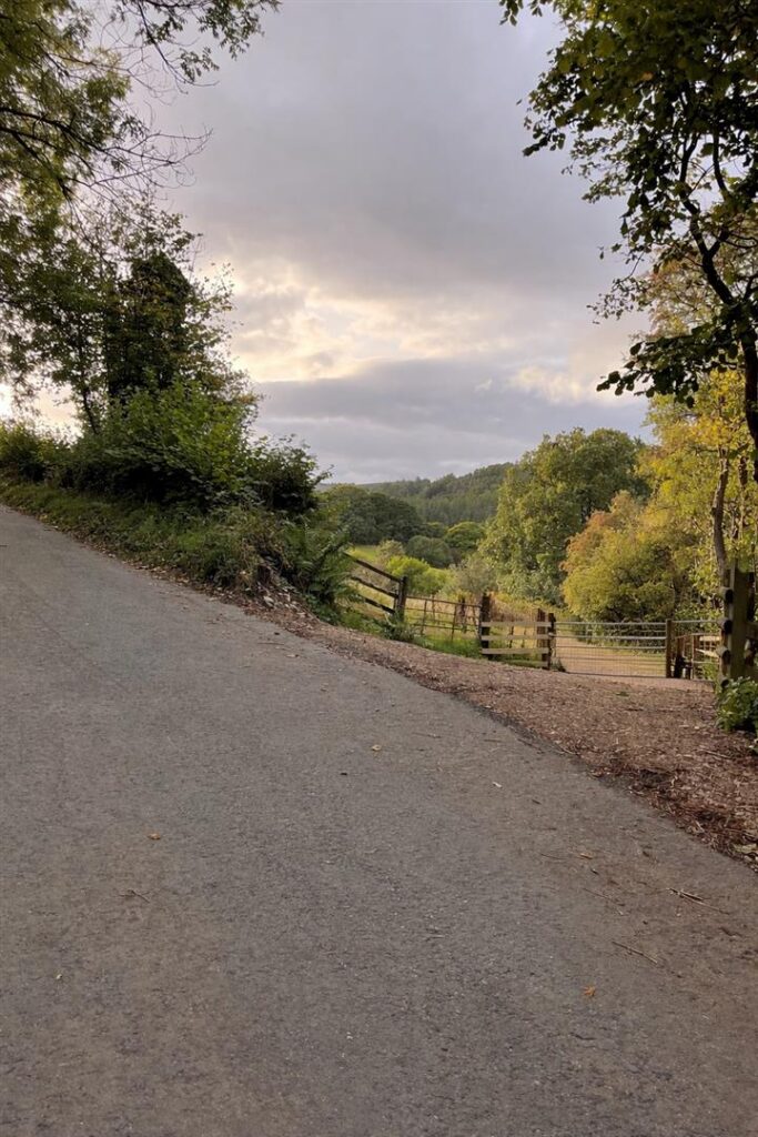 Tyn Y Cestyll Road, Glyn Ceiriog photo 6