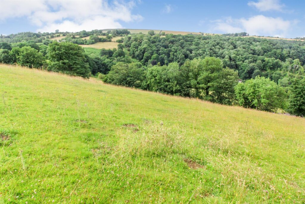 Tyn Y Cestyll Road, Glyn Ceiriog photo 5