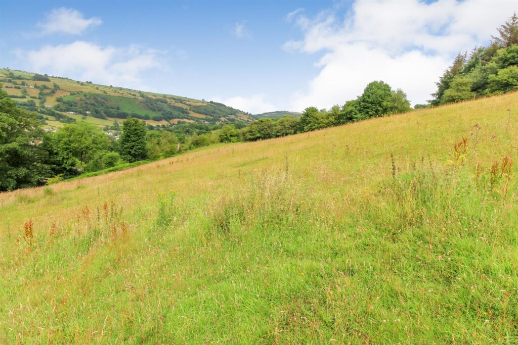 Tyn Y Cestyll Road, Glyn Ceiriog photo 4