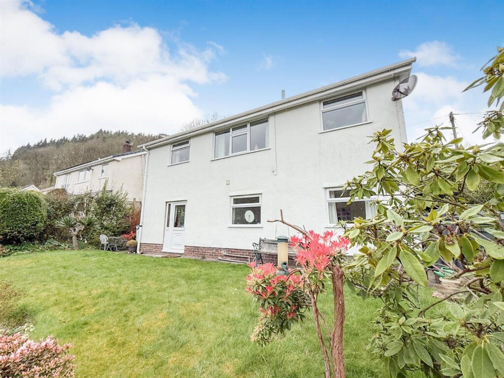 Cae Plas Teg, Glyn Ceiriog photo 5