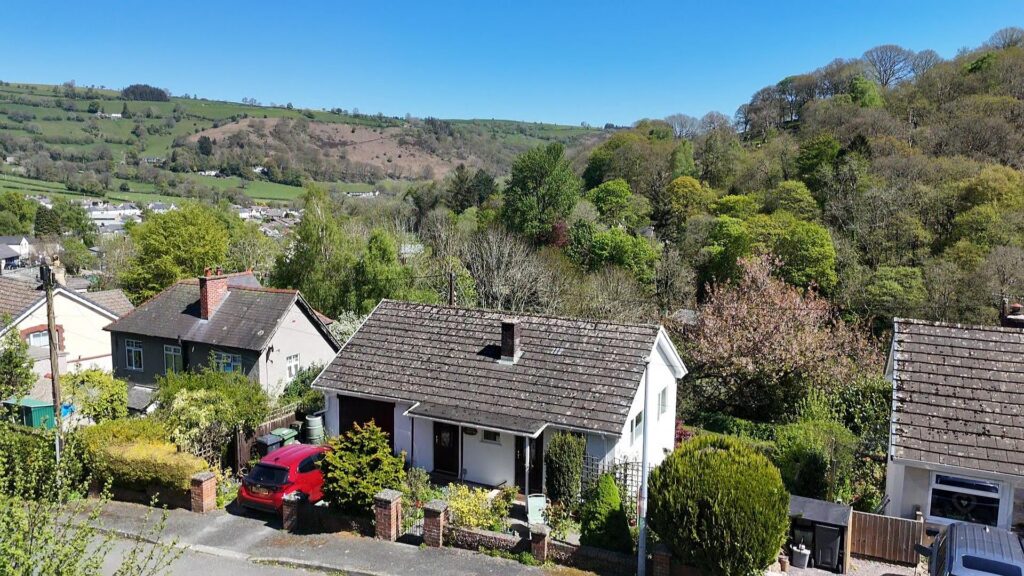 Cae Plas Teg, Glyn Ceiriog photo 4