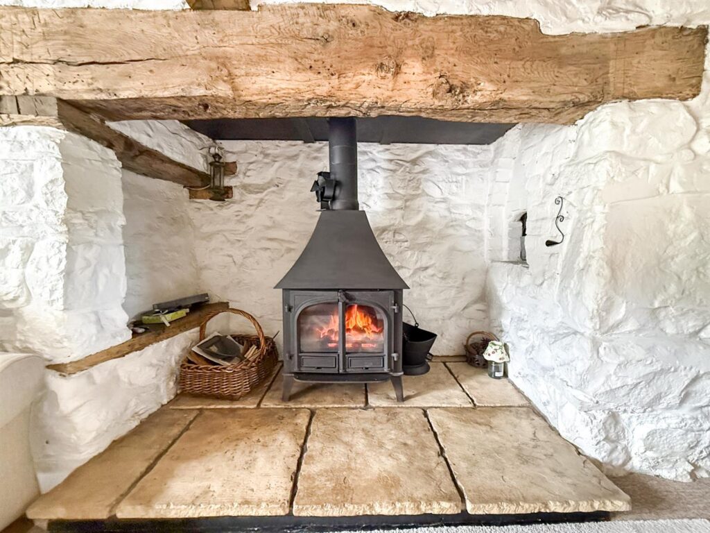 Llanfair Caereinion, Welshpool photo 14