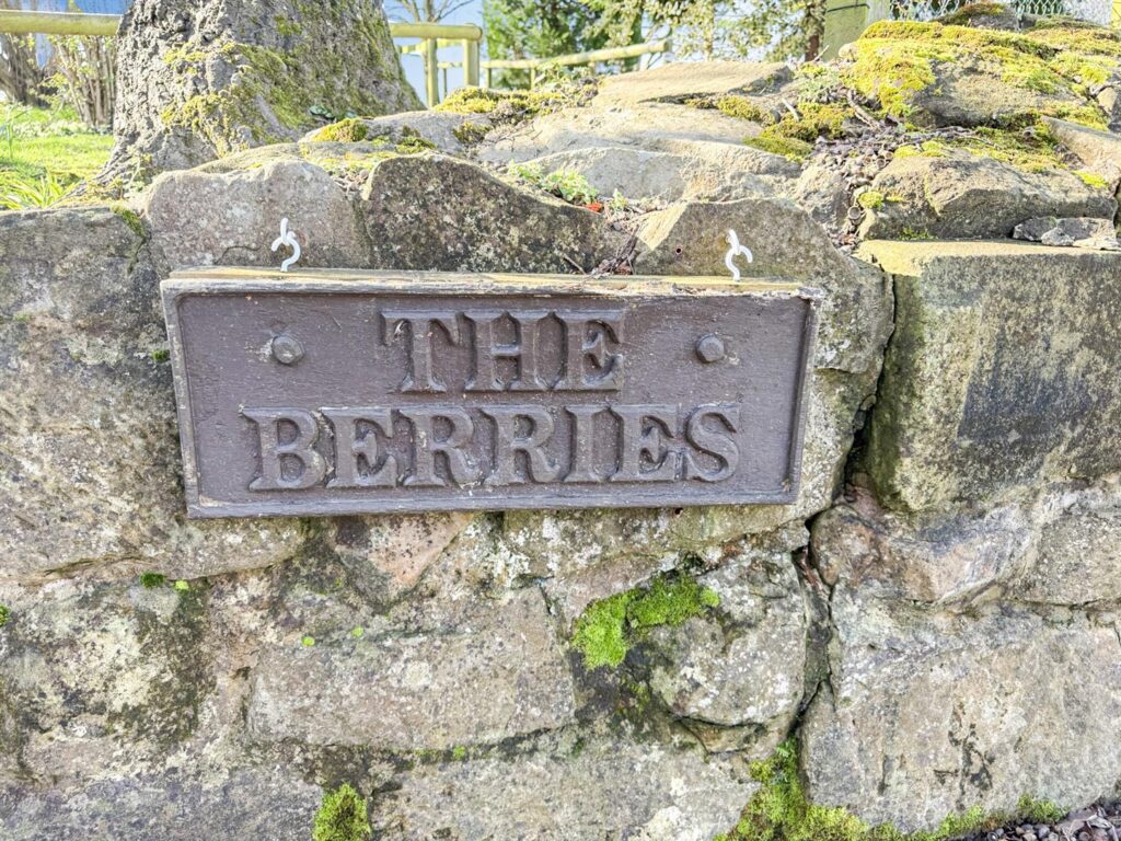 Pentre, Chirk, Wrexham photo 10