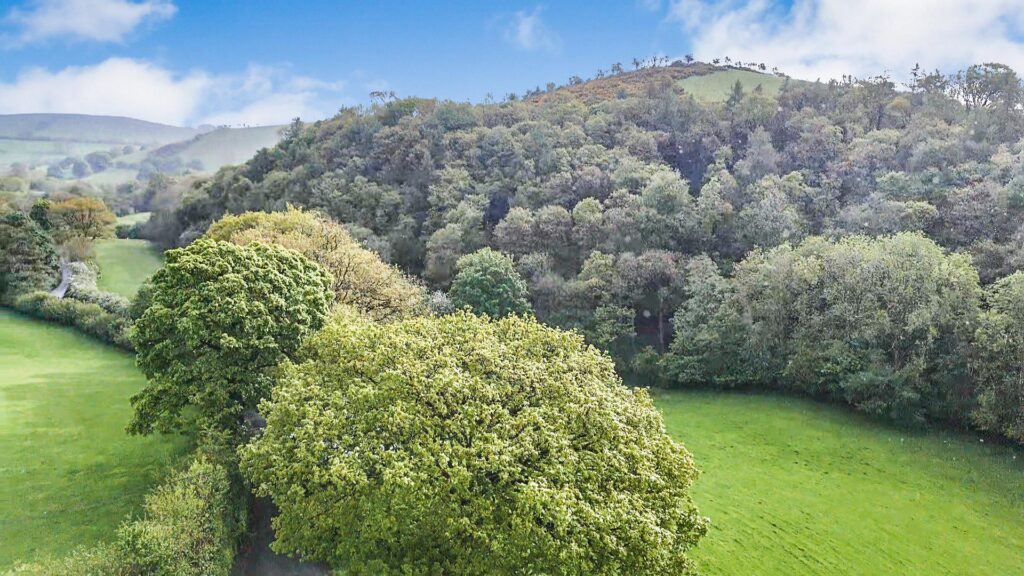 Cymdu, Llanrhaeadr Ym Mochnant photo 39