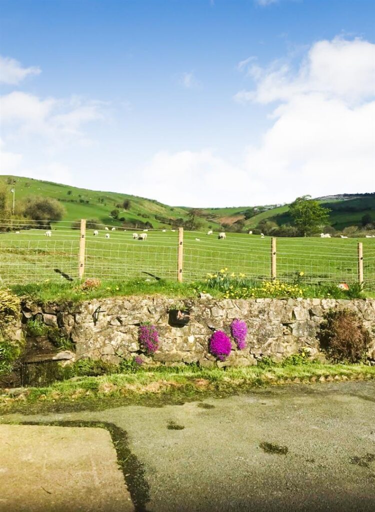 Cymdu, Llanrhaeadr Ym Mochnant photo 43