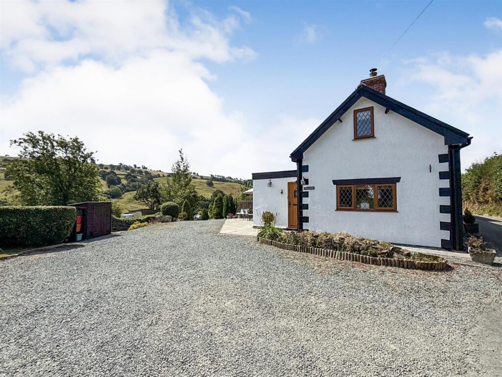 Llanfair Caereinion photo 21