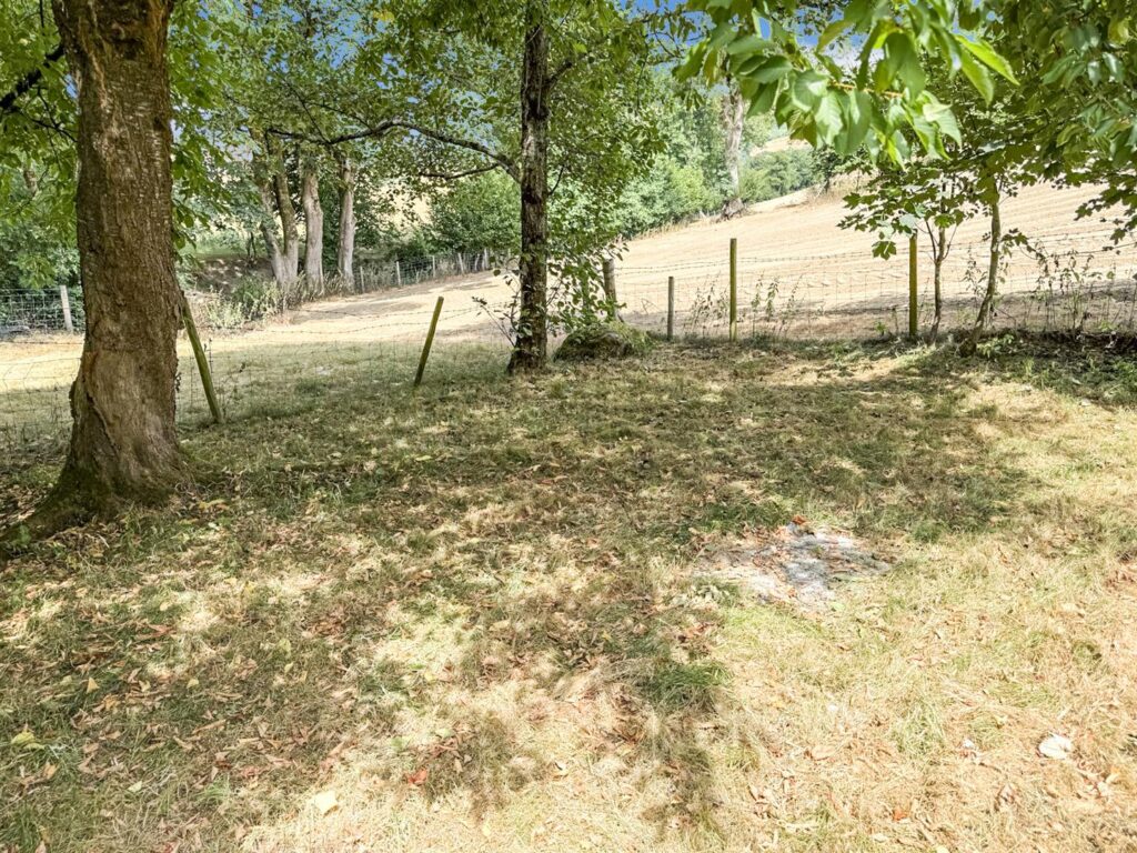 Penybontfawr, Oswestry photo 14