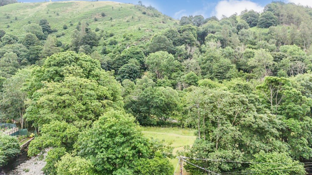 Aberteirw Terrace, Pandy, Llangollen photo 20