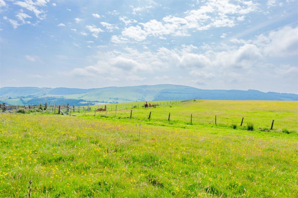 Hirnant, Penybontfawr, Oswestry photo 29