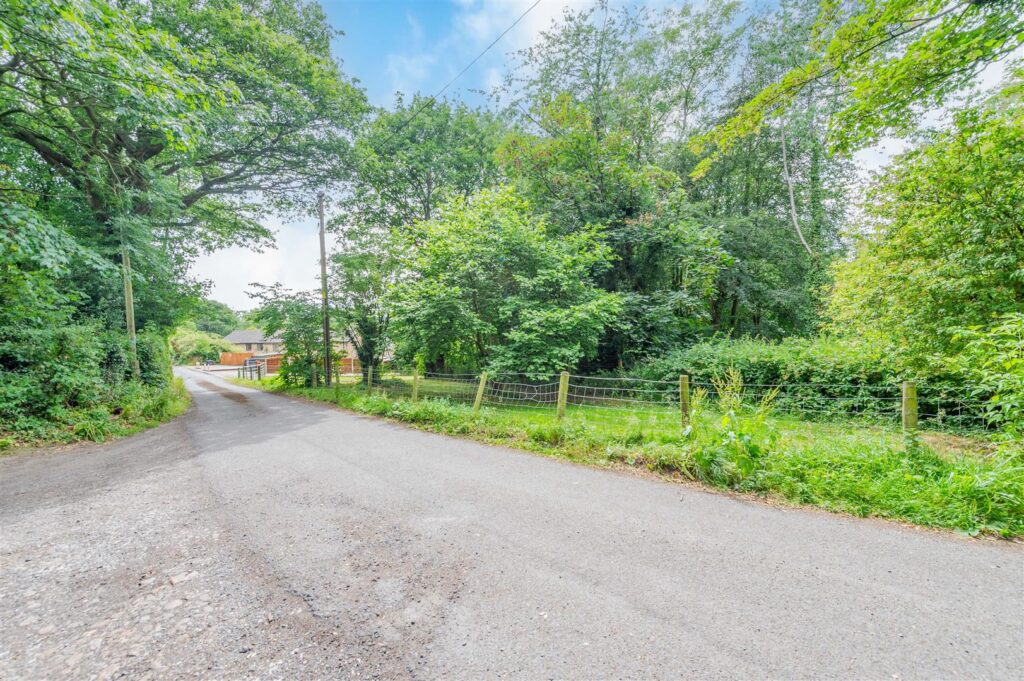 Forest Hills, Chirk photo 41