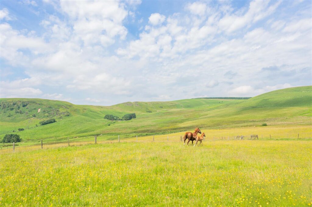 Hirnant, Penybontfawr, Oswestry photo 30