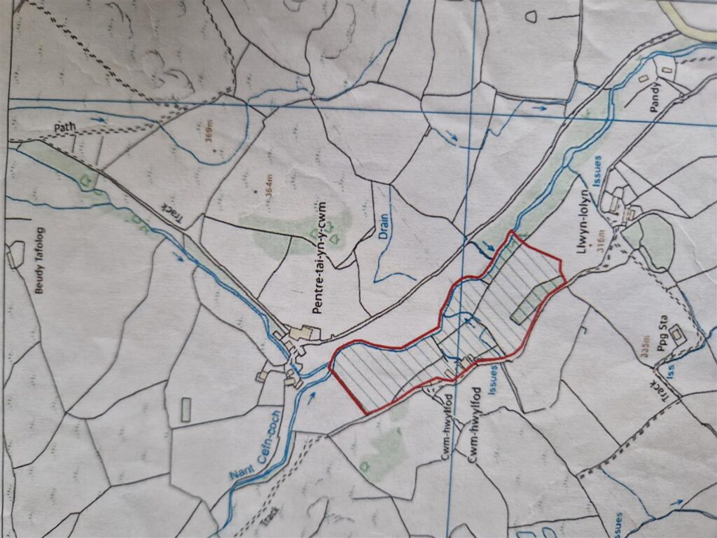 Cefn Ddwysarn, Bala photo 33