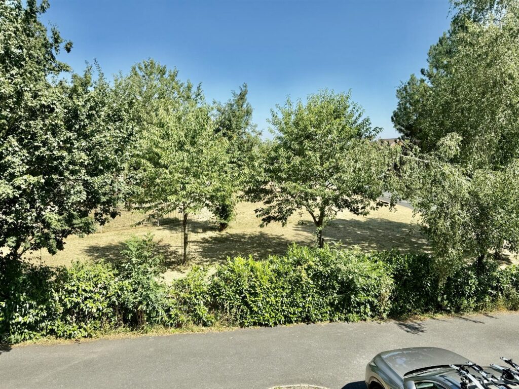 Milars Field, Morda photo 17