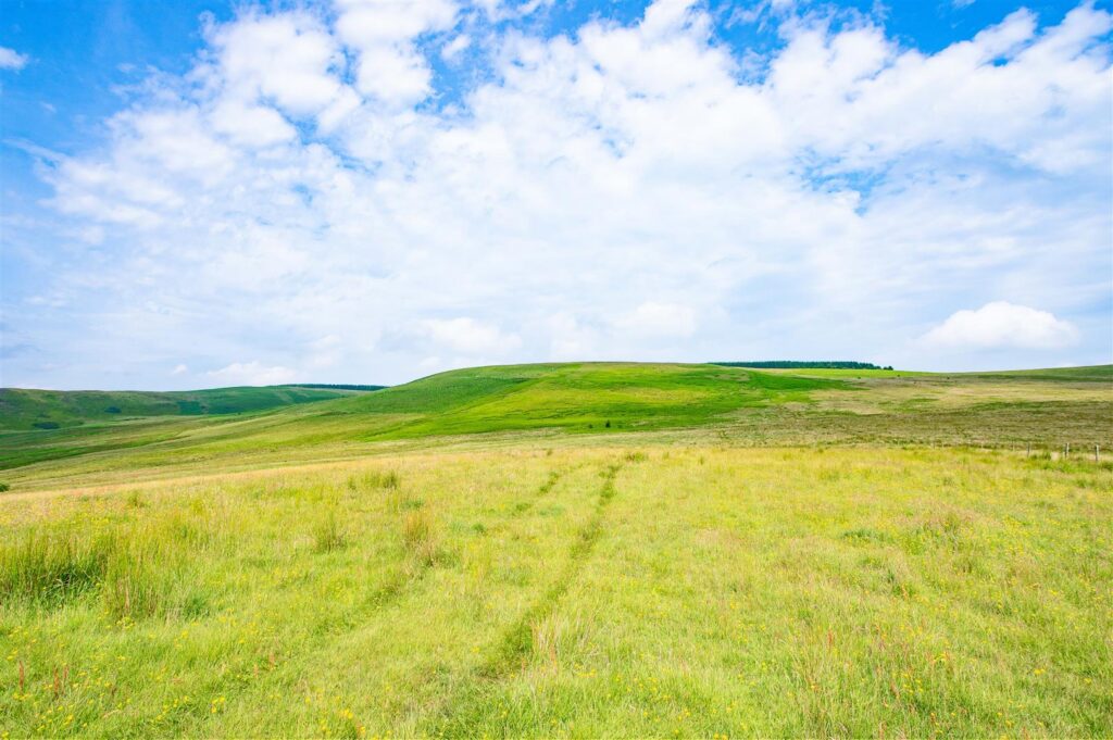 Hirnant, Penybontfawr, Oswestry photo 28