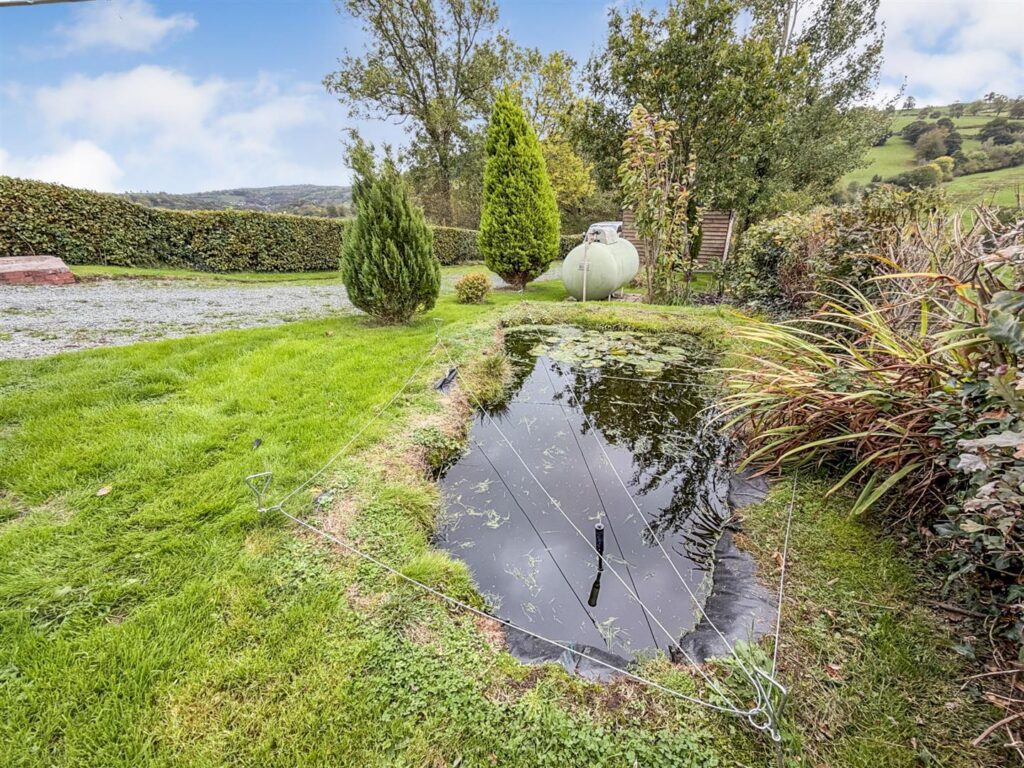 Llanfair Caereinion photo 25
