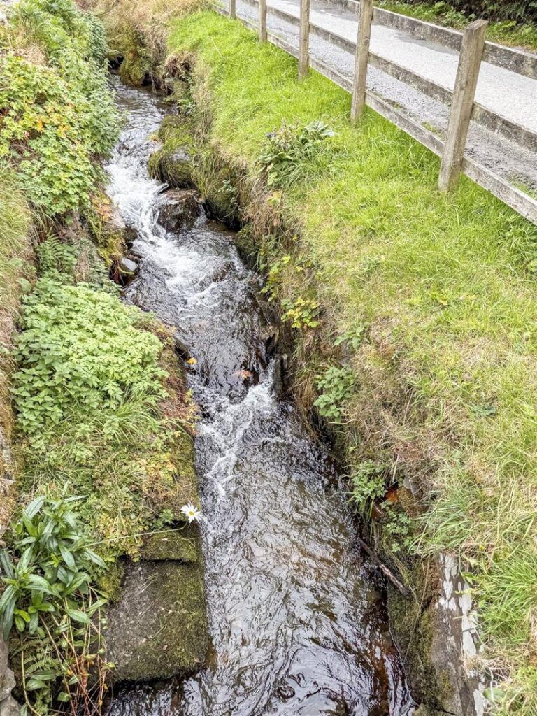 Llanarmon Dyffryn Ceiriog, Llangollen photo 28