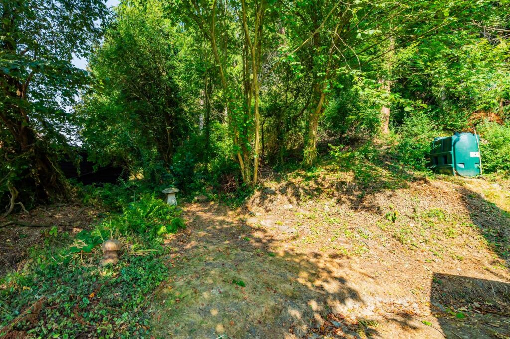 Pont Robert, Meifod photo 29