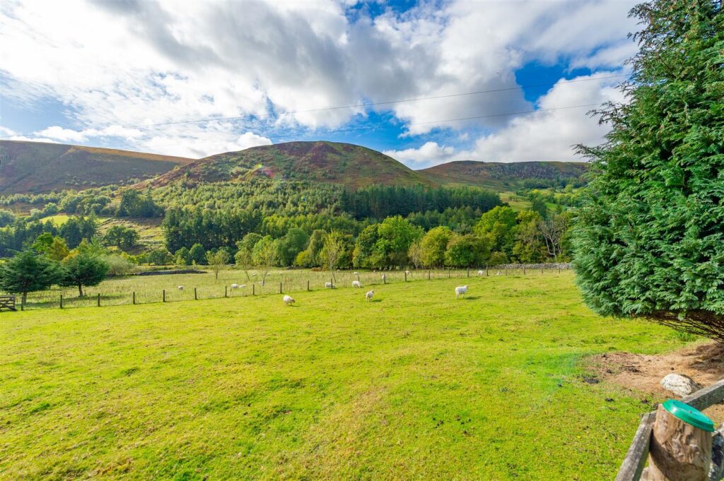 Bala Road, Llangynog photo 20