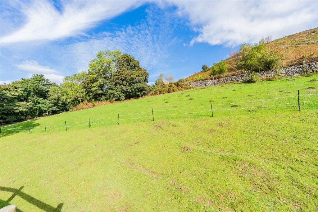Bala Road, Llangynog photo 30