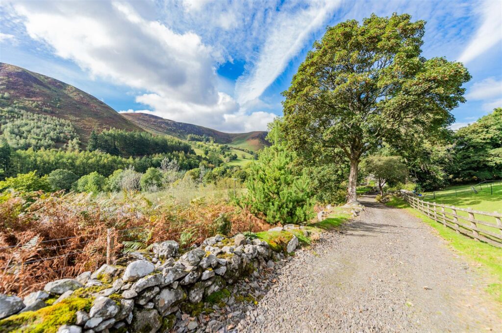 Bala Road, Llangynog photo 29