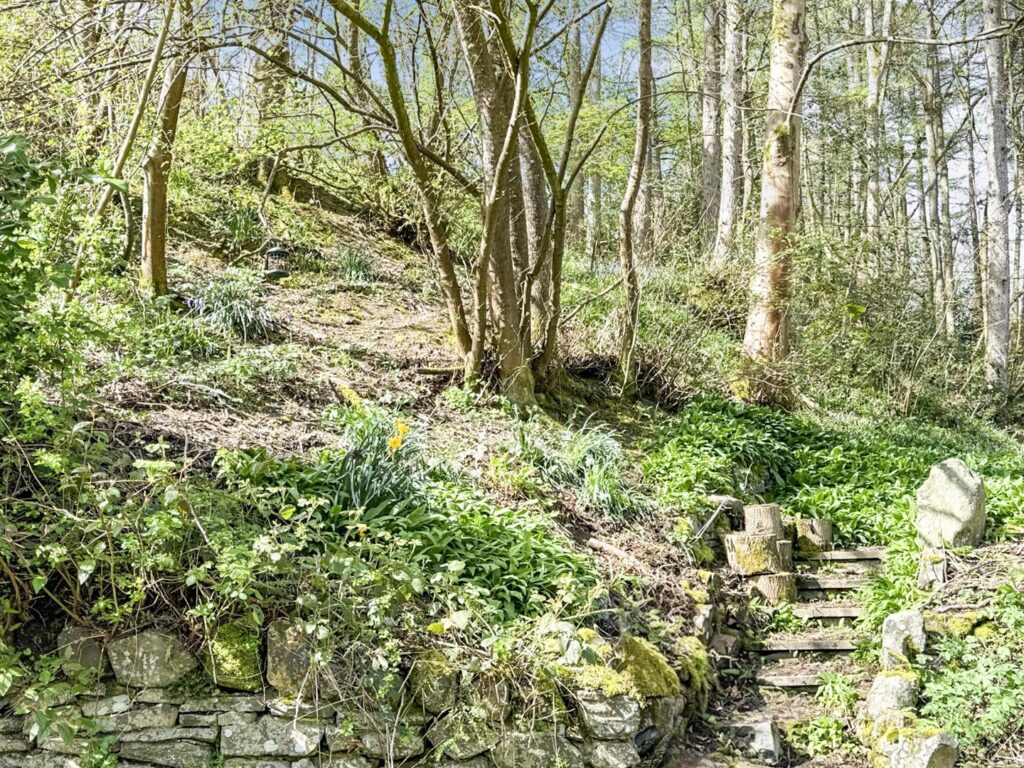 Aberteirw Terrace, Pandy, Llangollen photo 7